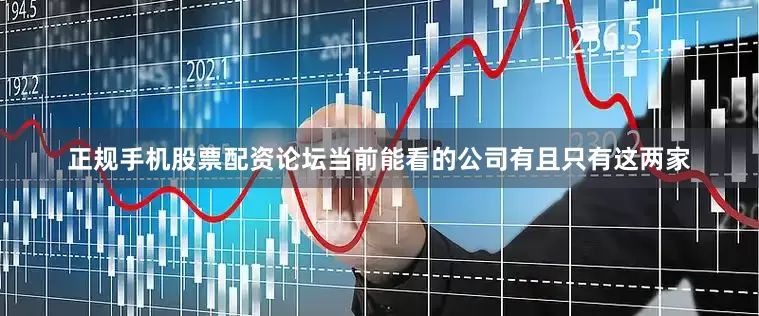 正规手机股票配资论坛当前能看的公司有且只有这两家