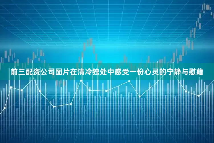 前三配资公司图片在清冷独处中感受一份心灵的宁静与慰藉