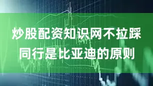 炒股配资知识网不拉踩同行是比亚迪的原则