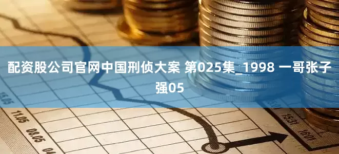 配资股公司官网中国刑侦大案 第025集_1998 一哥张子强05